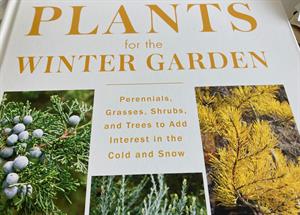 Plants for the Winter Garden